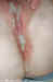 creampie_003.jpg (58160 bytes)