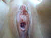 20031231-67003-4.jpg (42825 bytes)