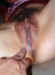 DSCF2850.jpg (76914 bytes)