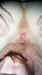 eatingthepie004_4.jpg (24370 bytes)