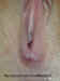DSCN0763.jpg (31948 bytes)