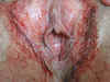 PICT0003.jpg (79425 bytes)
