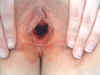 bgDSCF0009.JPG (49982 bytes)