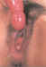 cp055.jpg (48673 bytes)