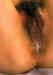 cp294.jpg (59199 bytes)