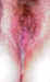 cp405.jpg (55311 bytes)