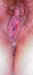 cp414.jpg (76169 bytes)