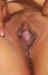 cp3541.jpg (40402 bytes)