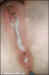 cp3609.jpg (60495 bytes)