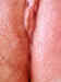 cp4929.jpg (48204 bytes)