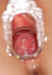 cp5063.jpg (35870 bytes)