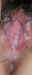 cp5749.jpg (72865 bytes)