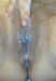 cp8095.jpg (22386 bytes)