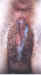 cp8175.jpg (21659 bytes)