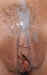 cp8543.jpg (45779 bytes)