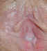 cp9194.jpg (73630 bytes)