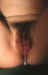 391t32.jpg (15106 bytes)