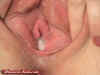 absolutekim_creampie_fun07.jpg (34751 bytes)