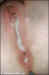 absolutekim_creampieswinger010.jpg (22057 bytes)