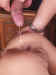 BarSex_013.jpg (55201 bytes)