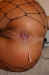anal cum6.jpg (14870 bytes)