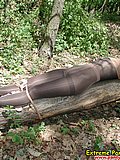 P6030534.jpg