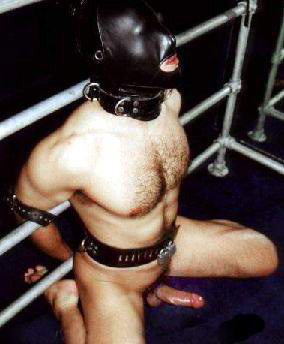 gay_bondage_4177.jpg