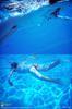 pj_hitomi_shiraishi030.jpg