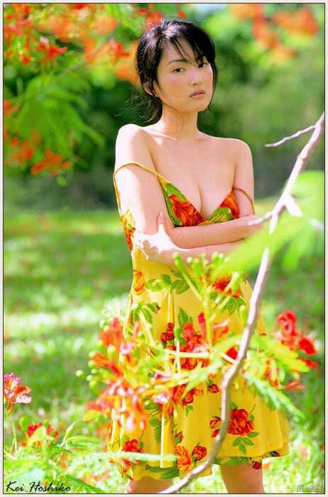 keiho203.JPG