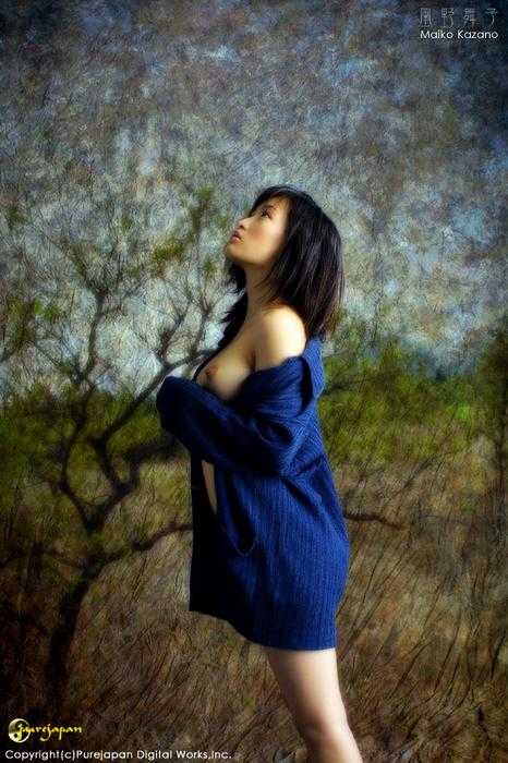 pj_maiko_kazano060b.jpg