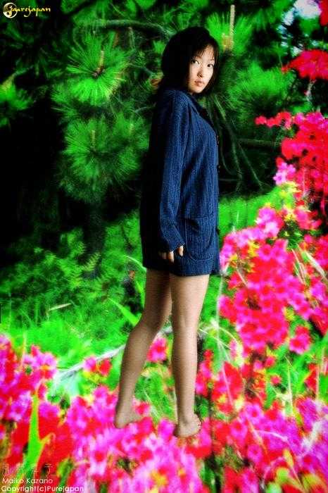 pj_maiko_kazano077b.jpg