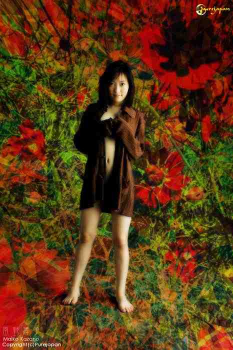 pj_maiko_kazano155b.jpg